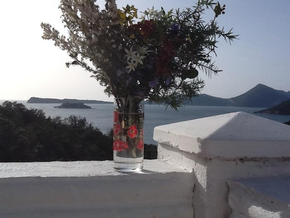 Villa Mirista Luštica Zimmer foto