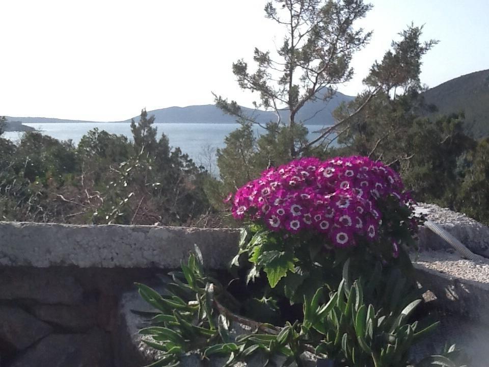 Villa Mirista Luštica Zimmer foto